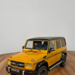 IMG_20250828_120610